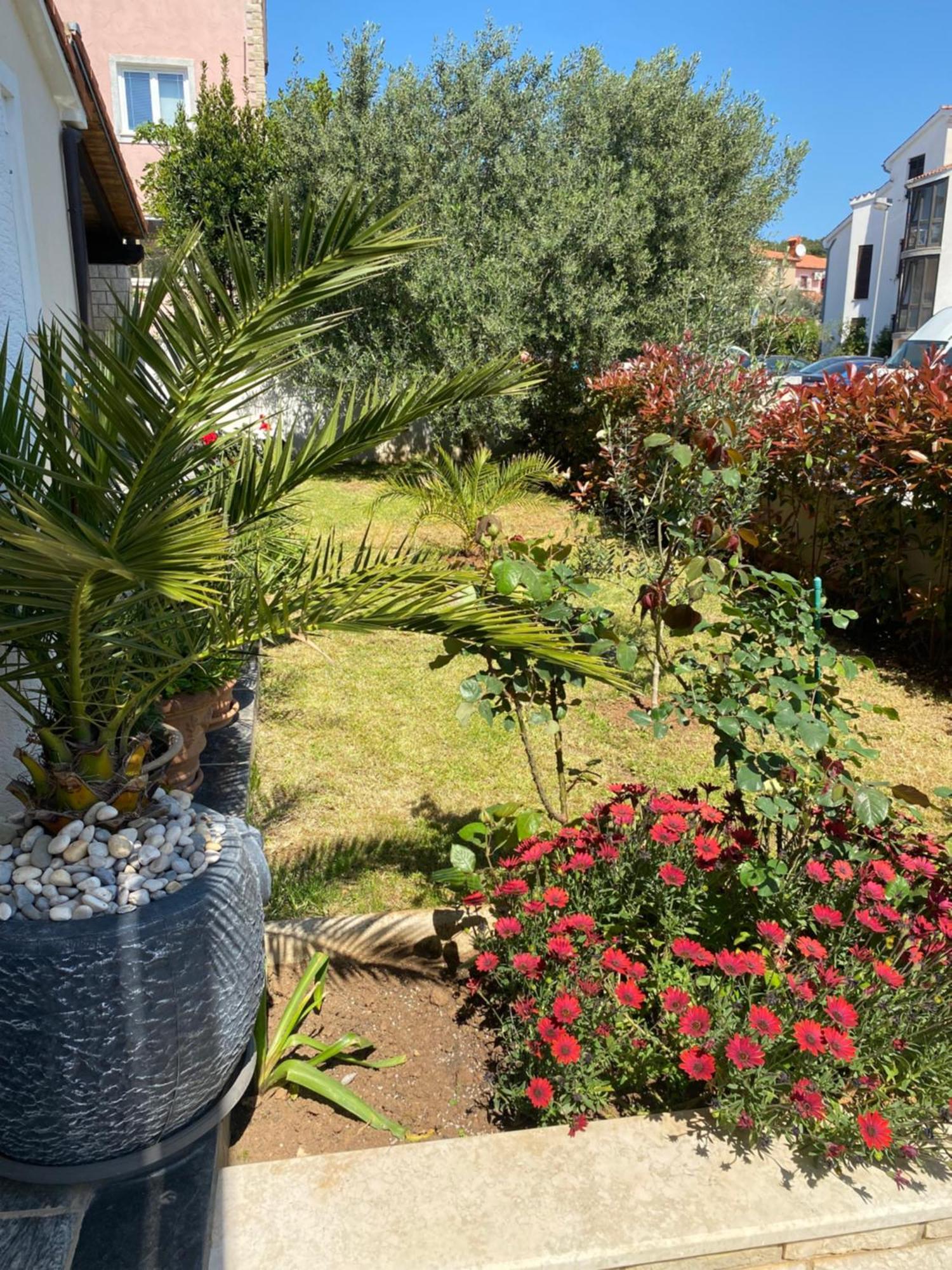 Summer House 普拉 外观 照片